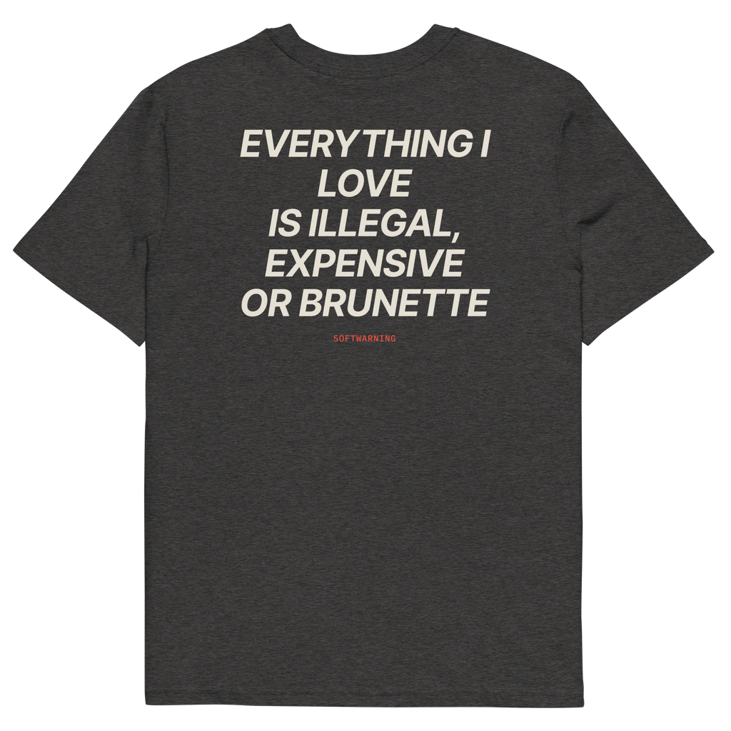 Everything I Love Is Illegal, Expensive, or Brunette T-shirt in dark heather grey, back print