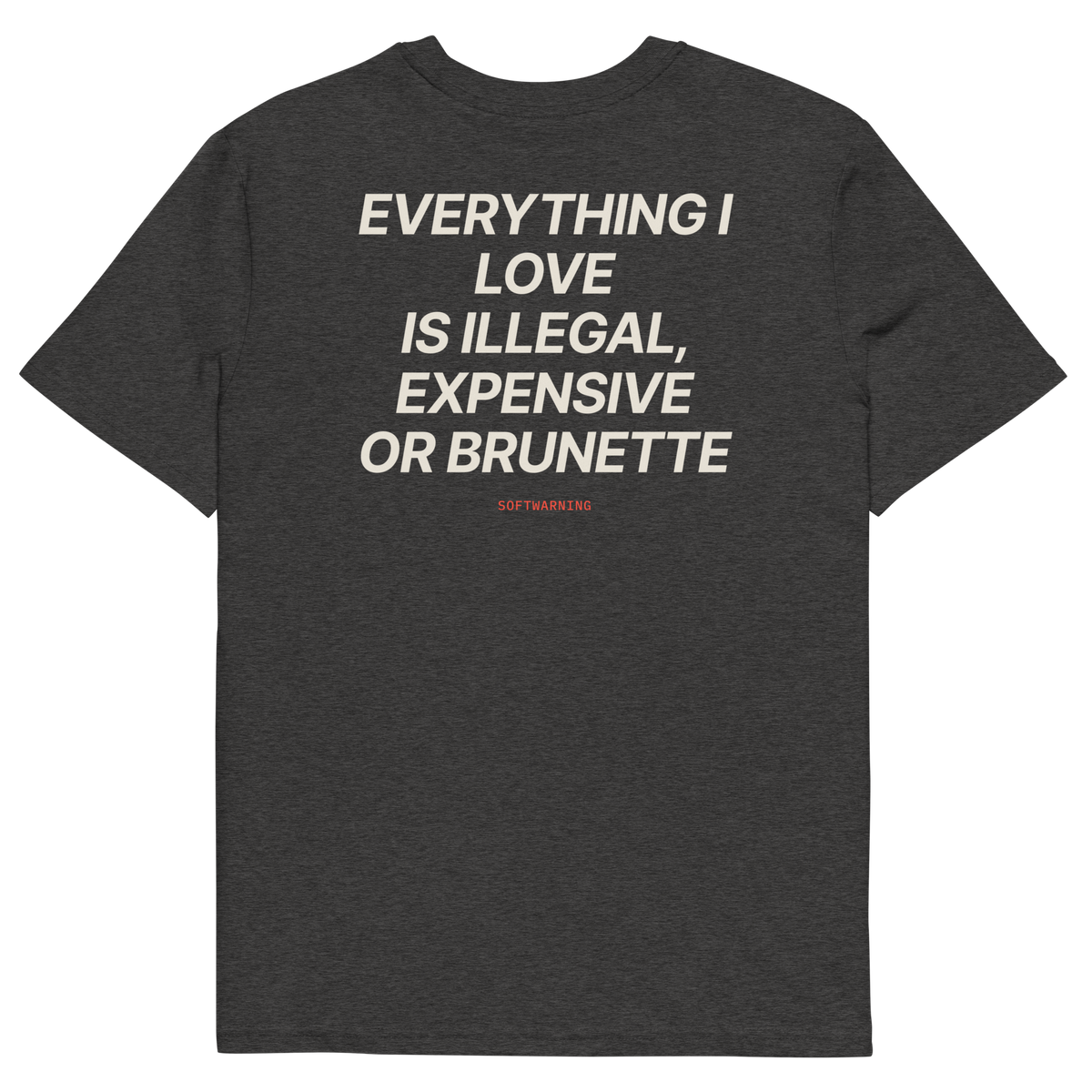 Everything I Love Is Illegal, Expensive, or Brunette T-shirt in dark heather grey, back print