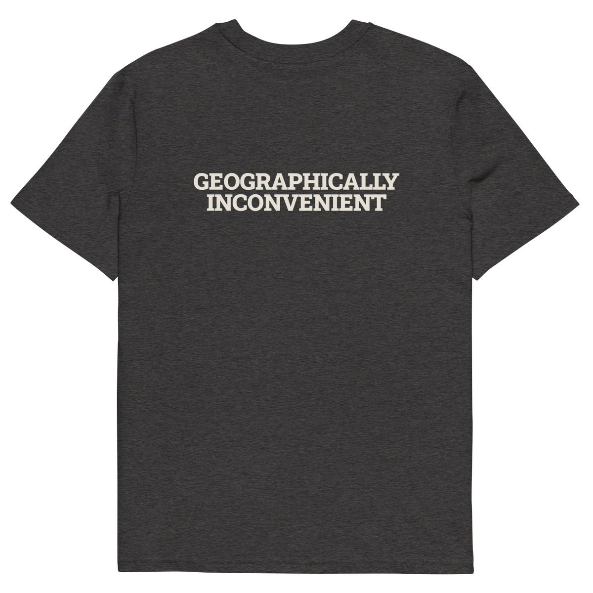 Dark Heather Grey product view of the Geographically Inconvenient T-shirt, back