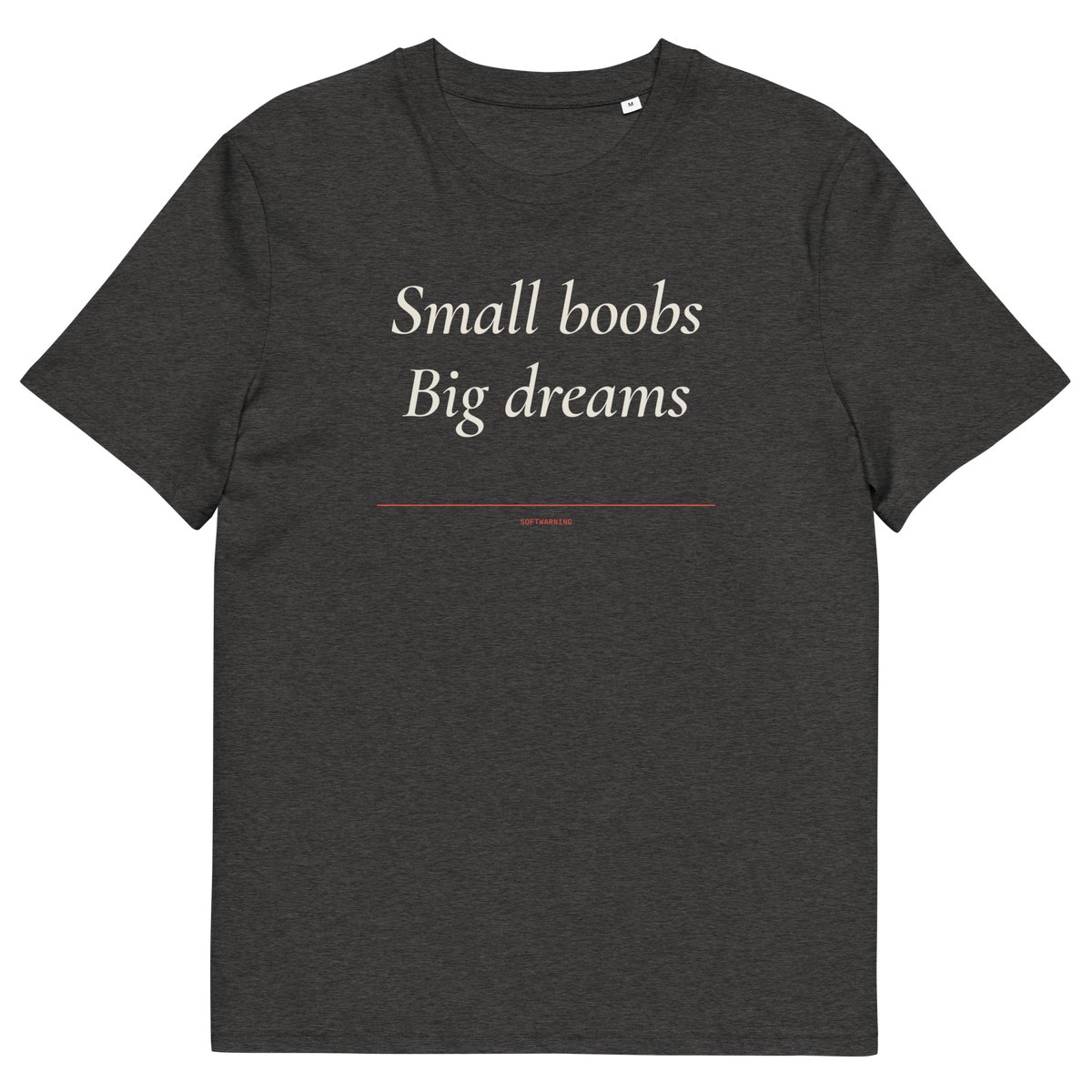 Small Boobs Big Dreams - Dark Heather Grey organic cotton T-shirt, front print