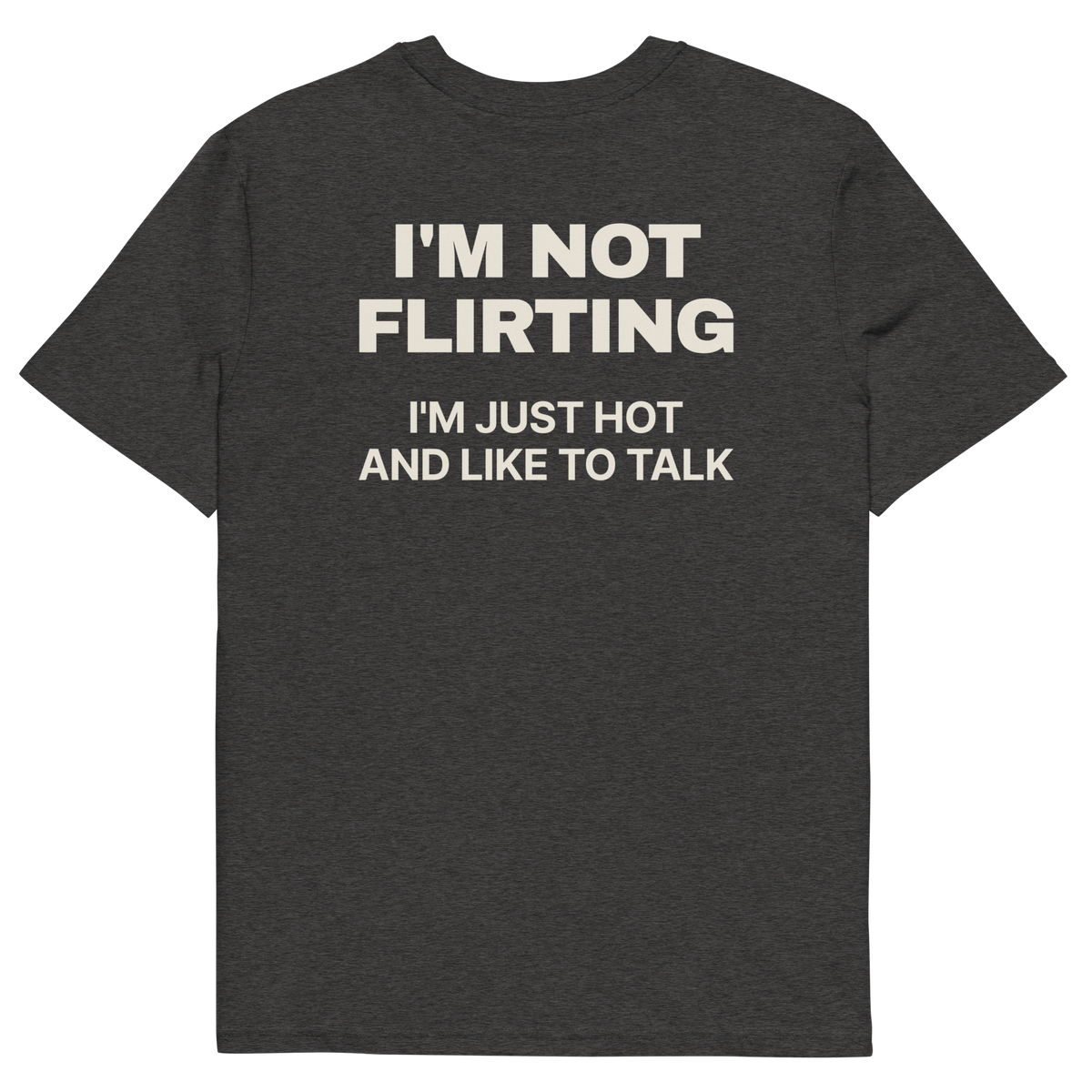 I’m Not Flirting. I’m Just Hot and Like to Talk T-shirt in dark heather grey, back print