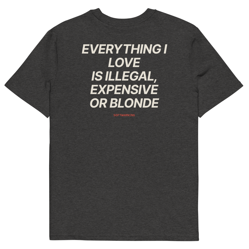 Everything I Love Is Illegal, Expensive, or Blonde T-shirt in dark heather grey, back print