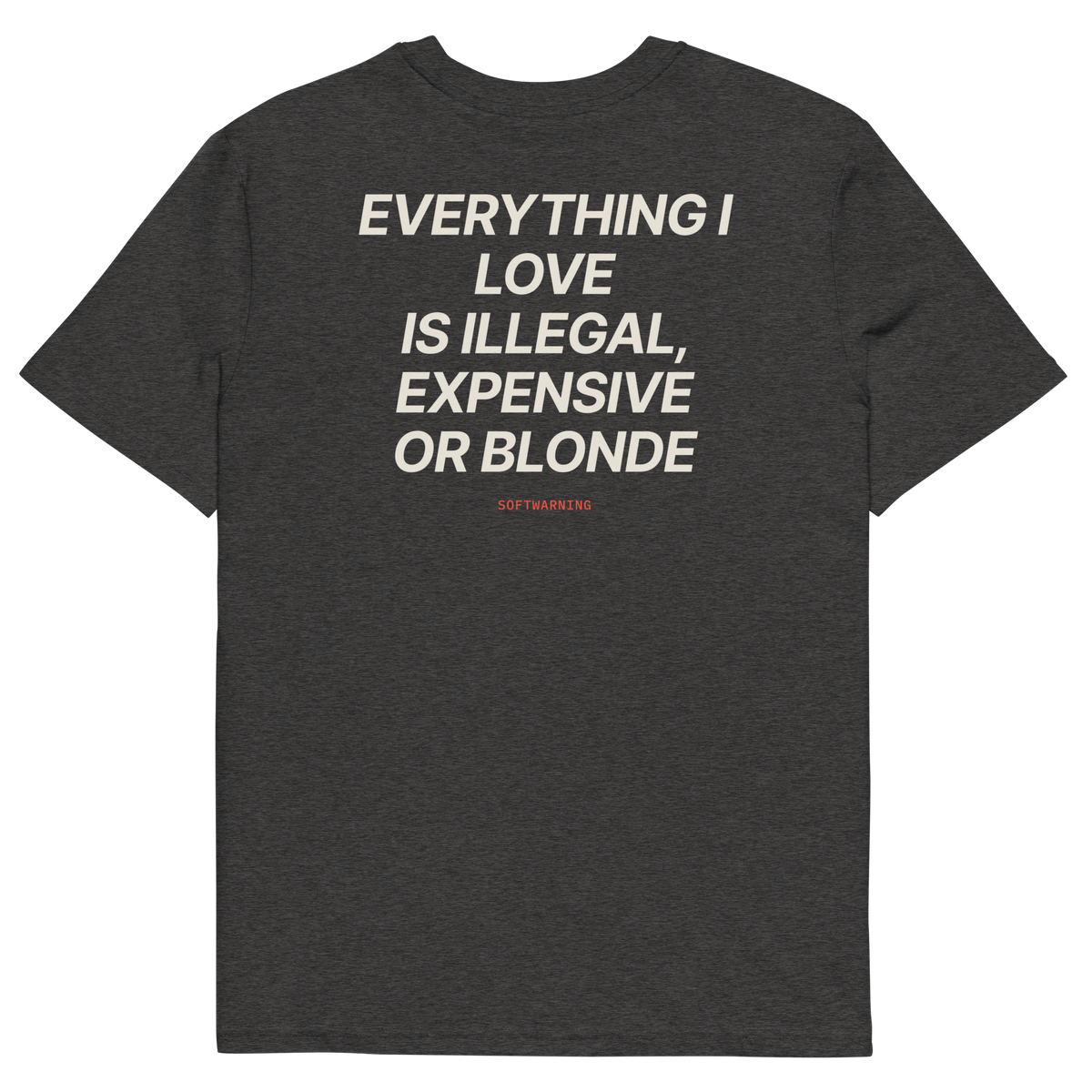 Everything I Love Is Illegal, Expensive, or Blonde T-shirt in dark heather grey, back print