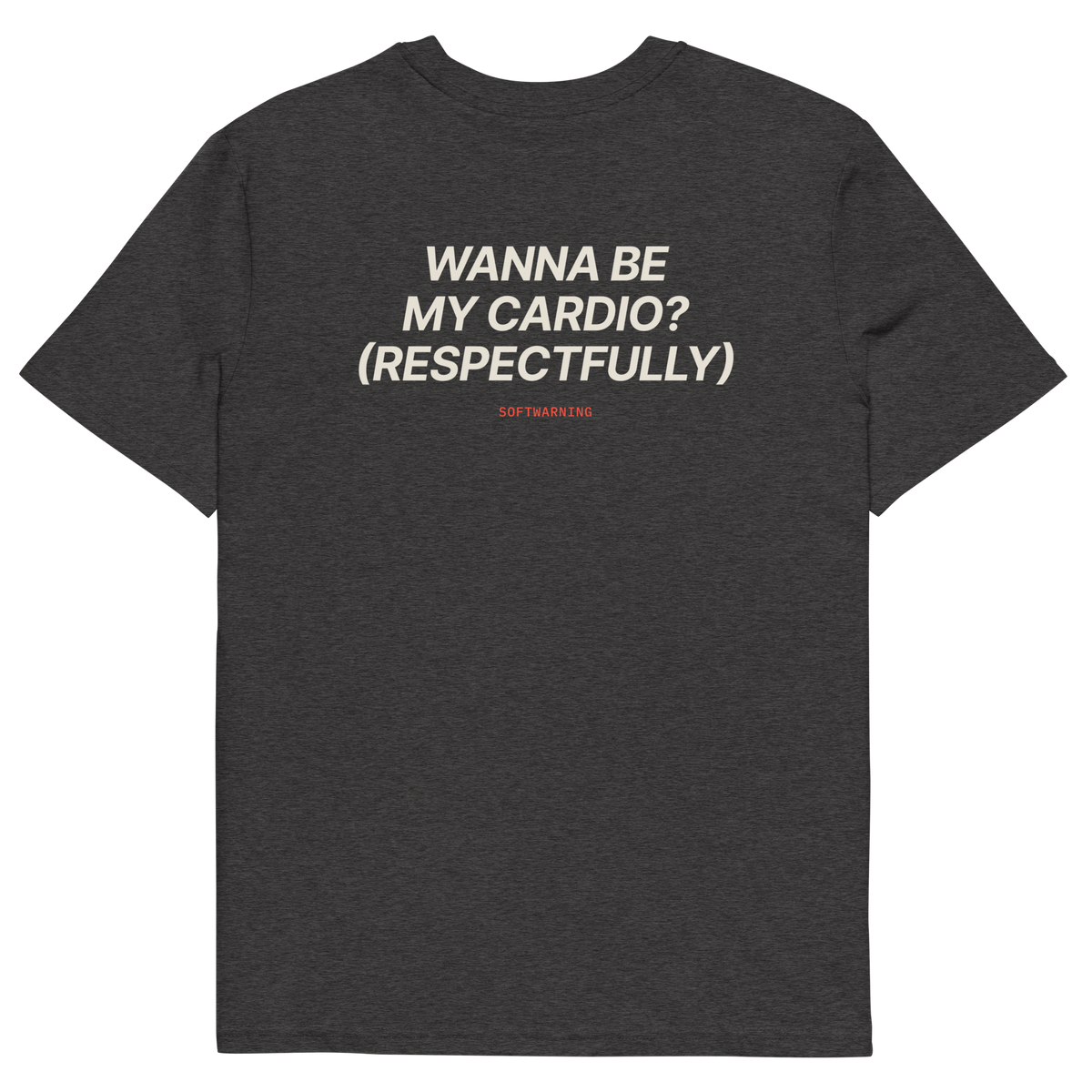Dark Heather Grey product view of the Wanna Be My Cardio? (Respectfully) T-shirt, back