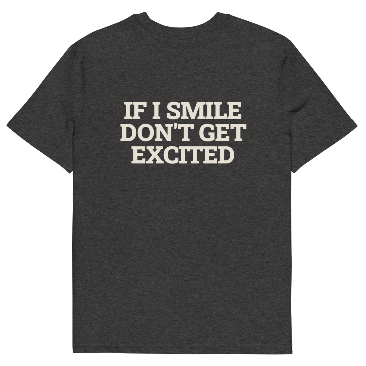 Dark Heather Grey product view of the If I Smile, Don’t Get Excited T-shirt, back