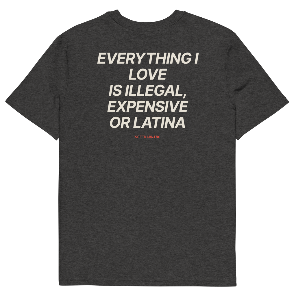 Everything I Love Is Illegal, Expensive, or Latina T-shirt in dark heather grey, back print