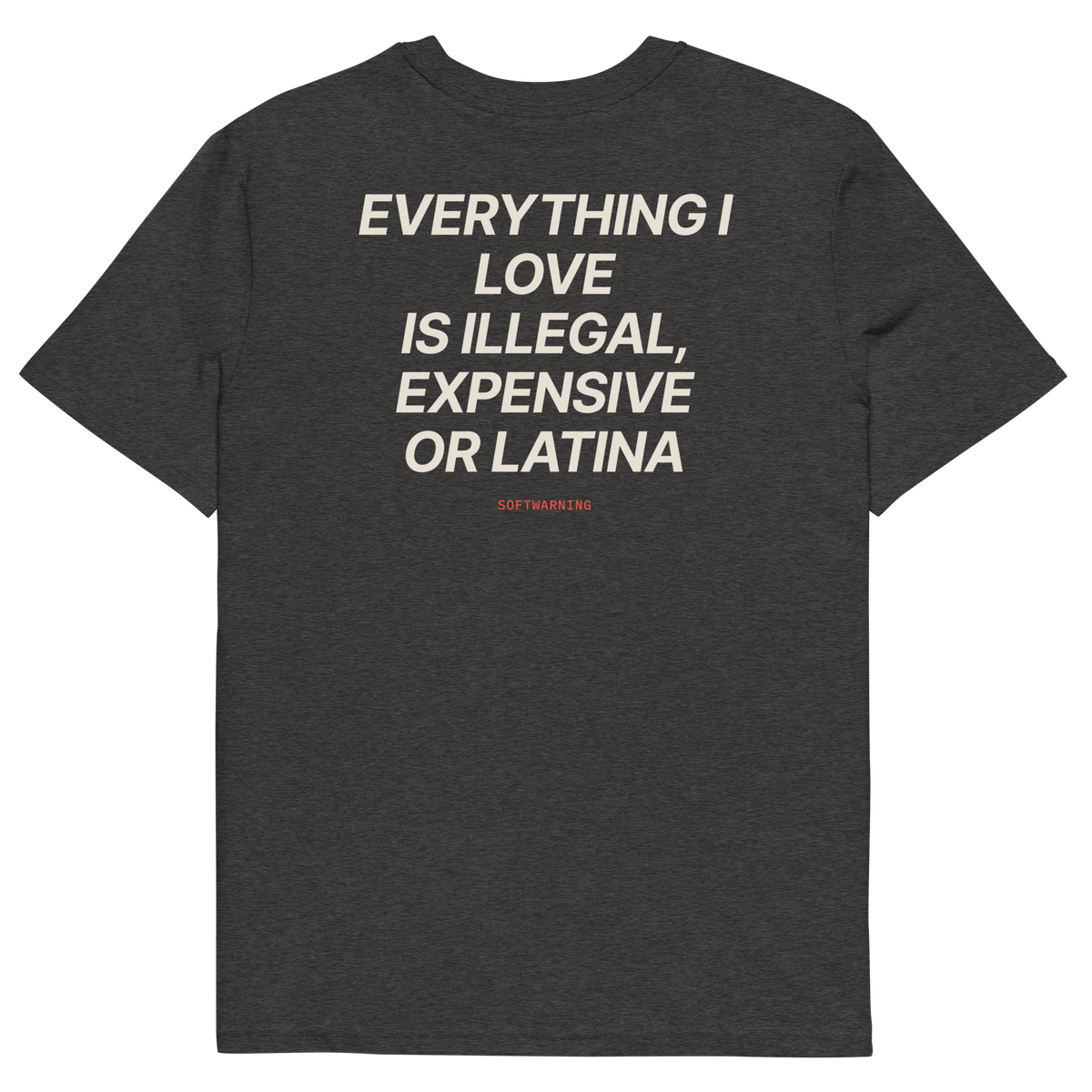 Everything I Love Is Illegal, Expensive, or Latina T-shirt in dark heather grey, back print