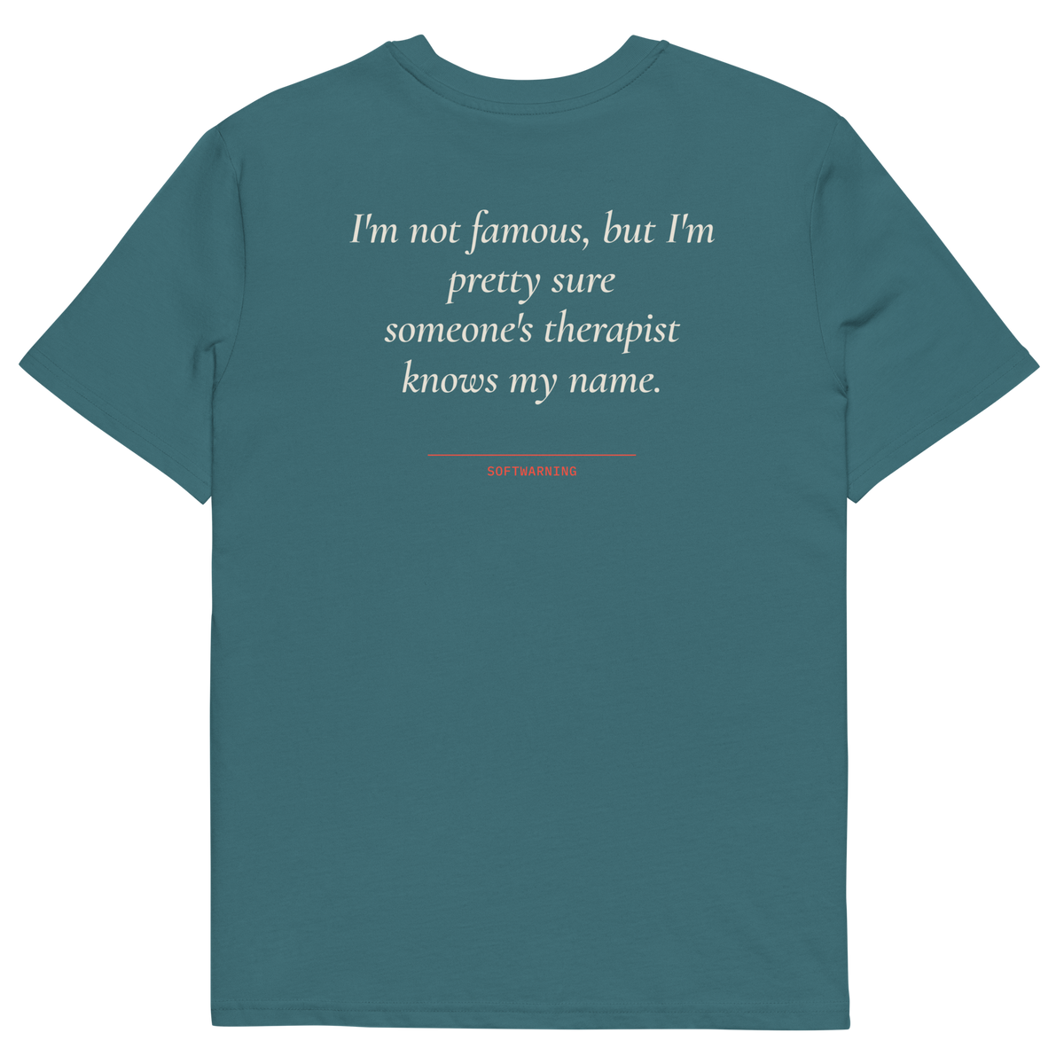 I’m Not Famous but I’m Pretty Sure Someone’s Therapist Knows My Name T-shirt in stargazer, back print