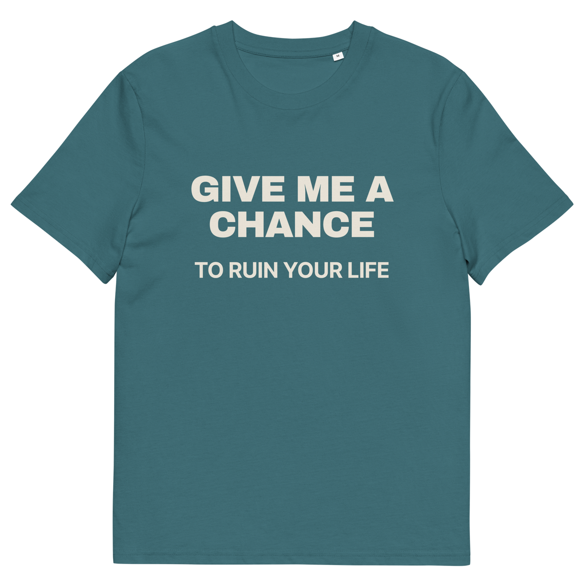Stargazer product view of the Give Me a Chance to Ruin Your Life T-shirt, front
