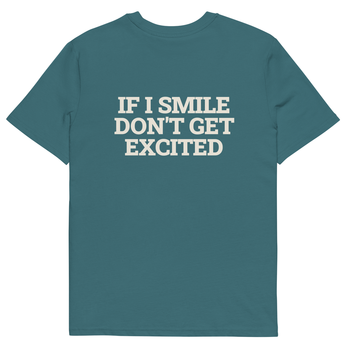 Stargazer product view of the If I Smile, Don’t Get Excited T-shirt, back