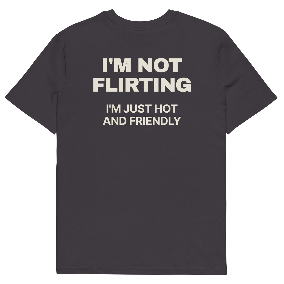 Anthracite product view of the I’m Not Flirting, I’m Just Hot and Friendly T-shirt, back