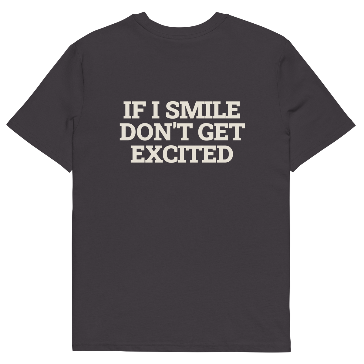 Anthracite product view of the If I Smile, Don’t Get Excited T-shirt, back