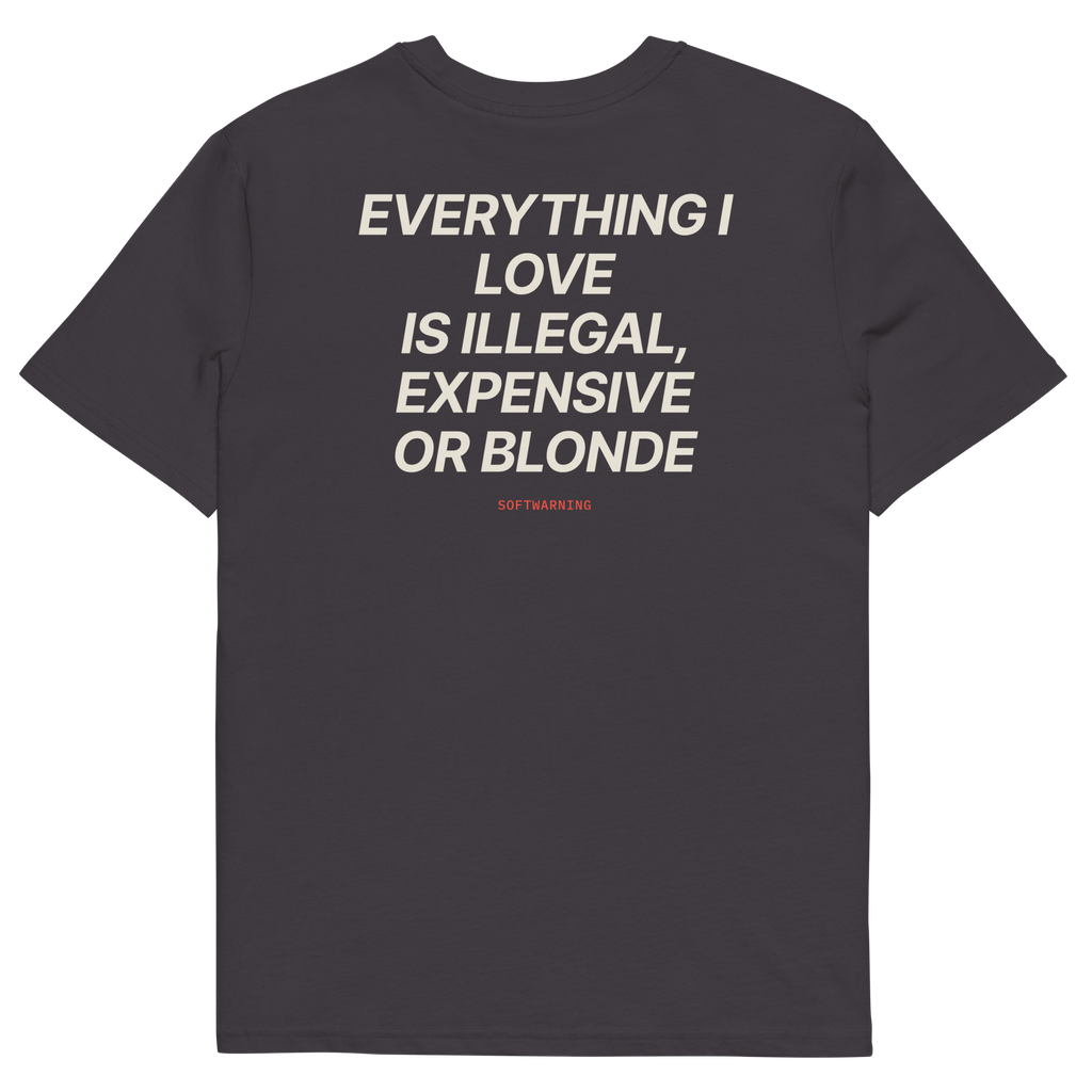 Anthracite product view of the Everything I Love Is Illegal, Expensive, or Blonde T-shirt, back