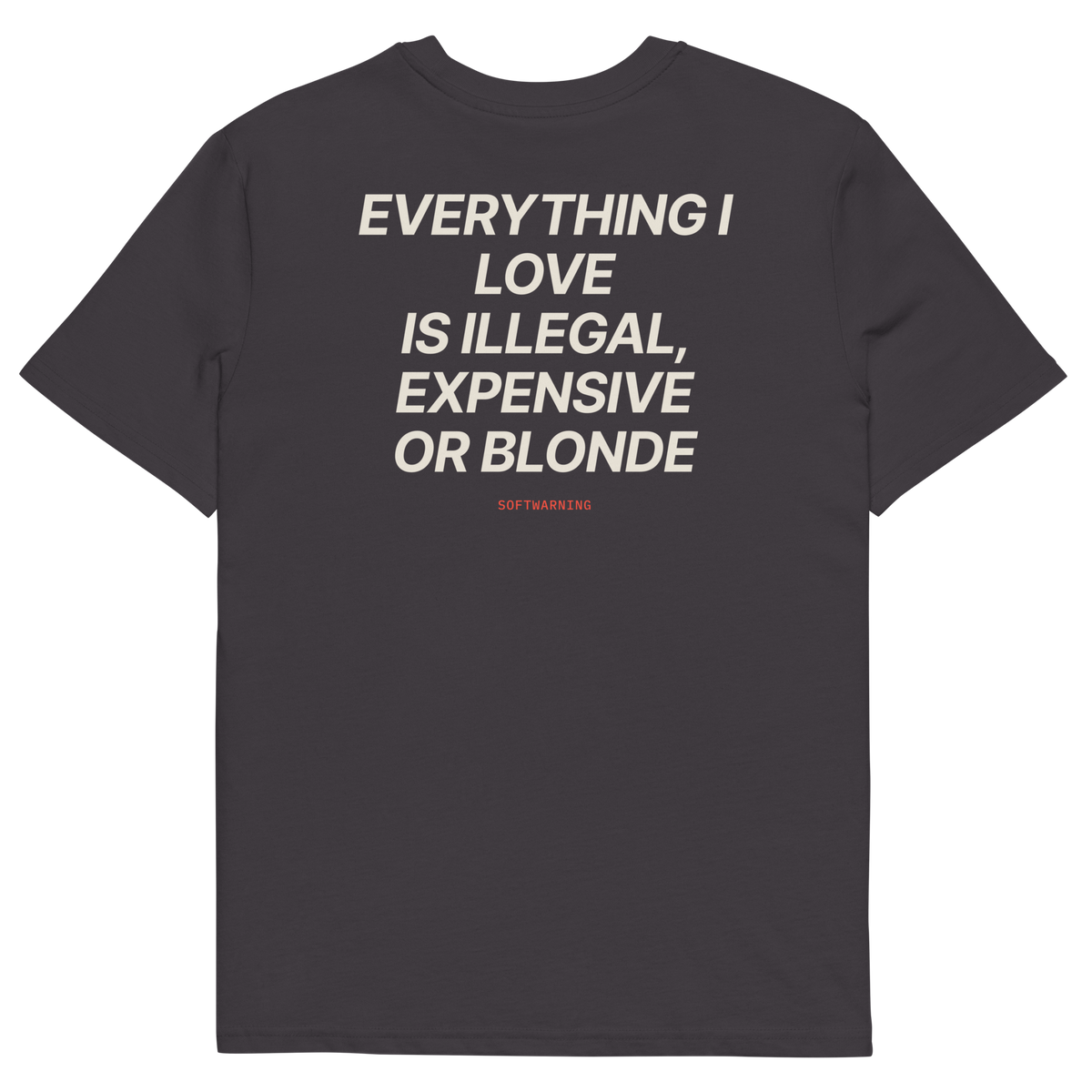 Anthracite product view of the Everything I Love Is Illegal, Expensive, or Blonde T-shirt, back