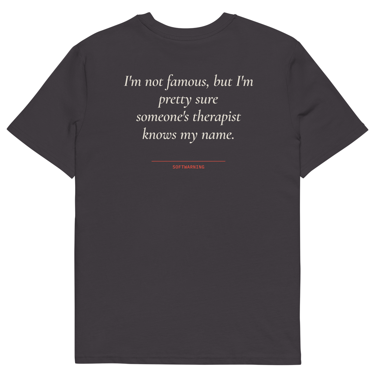 Anthracite product view of the I’m Not Famous but I’m Pretty Sure Someone’s Therapist Knows My Name T-shirt, back