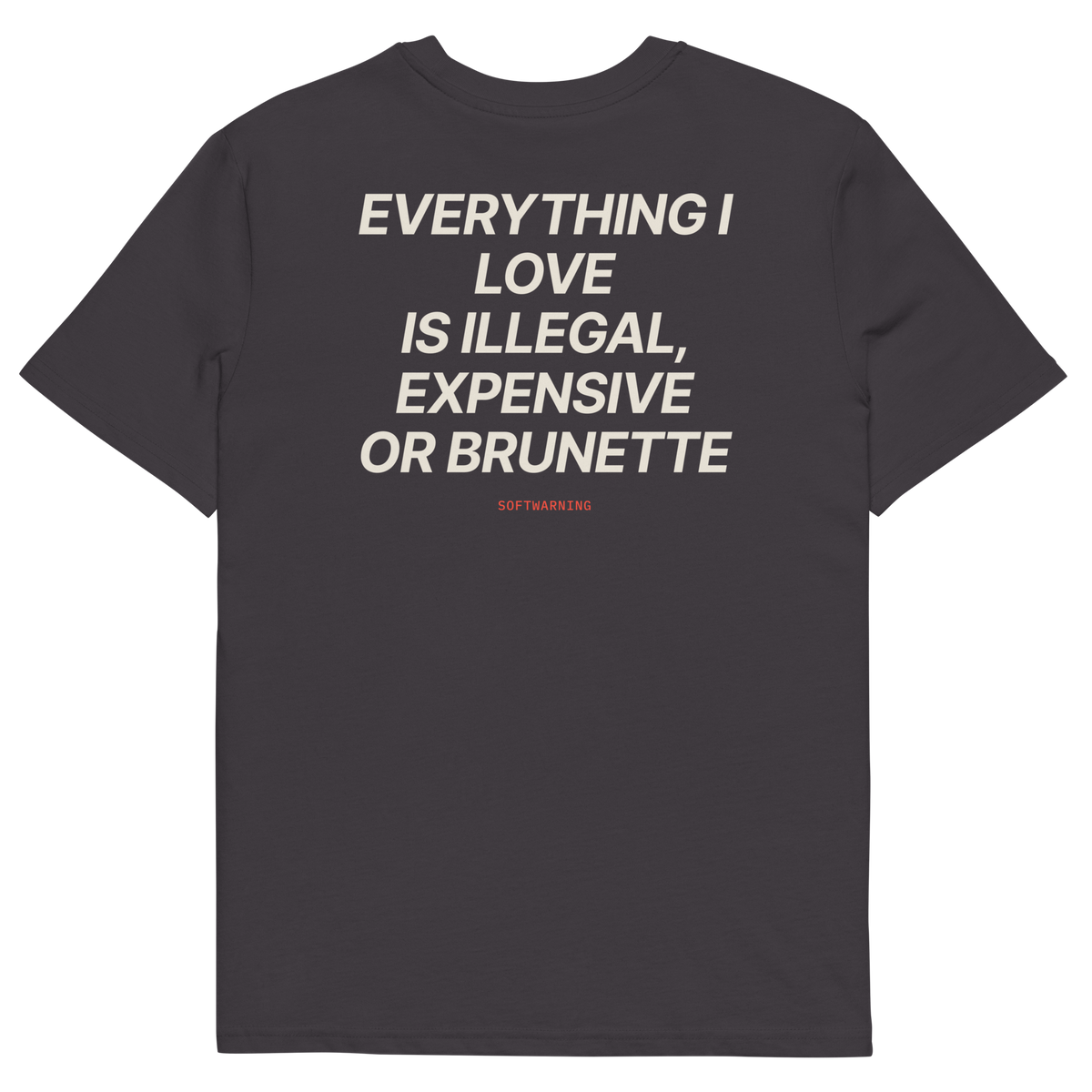 Anthracite product view of the Everything I Love Is Illegal, Expensive, or Brunette T-shirt, back