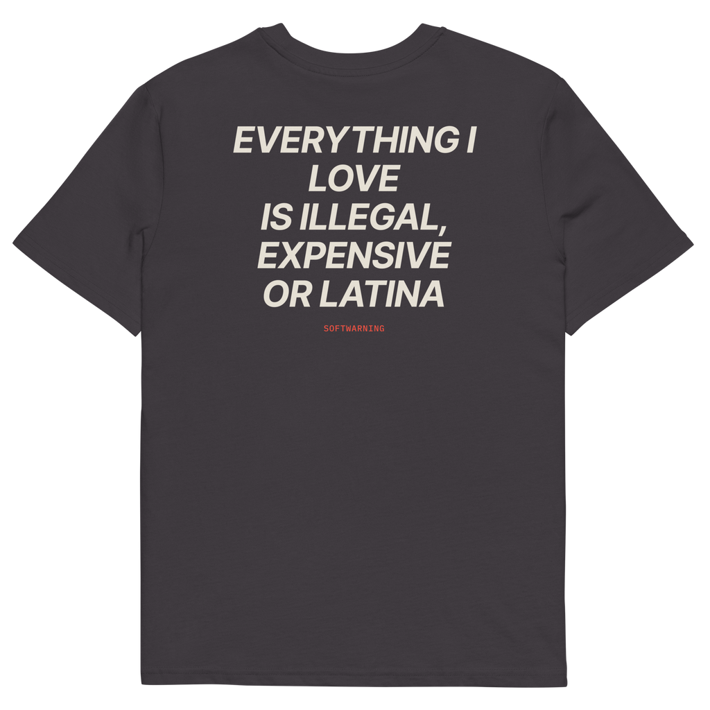 Anthracite product view of the Everything I Love Is Illegal, Expensive, or Latina T-shirt, back