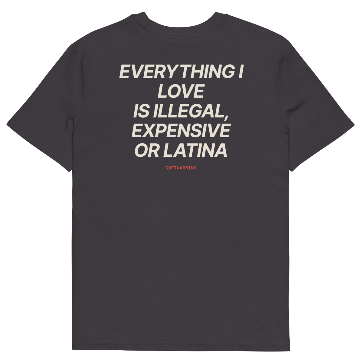Anthracite product view of the Everything I Love Is Illegal, Expensive, or Latina T-shirt, back