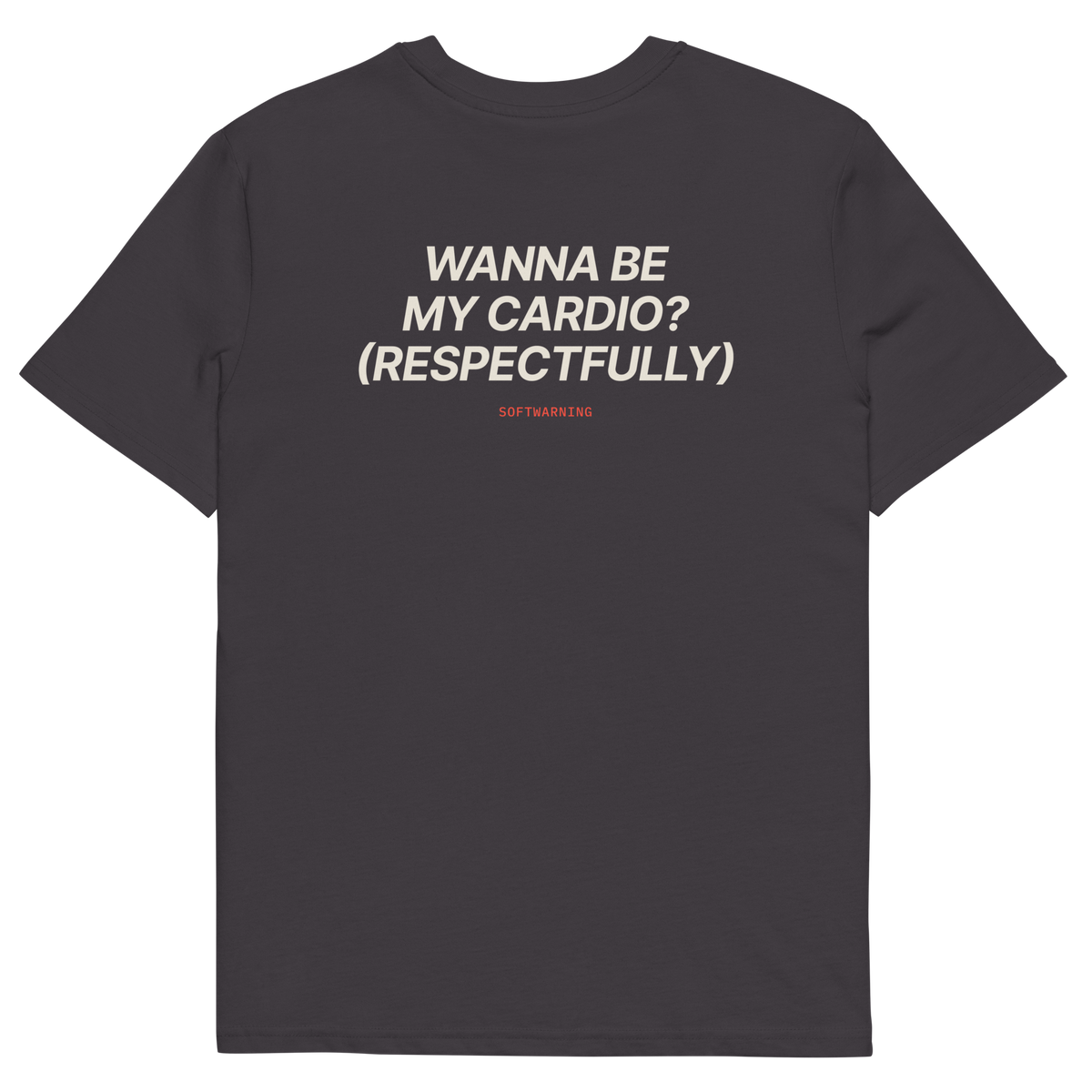 Anthracite product view of the Wanna Be My Cardio? (Respectfully) T-shirt, back
