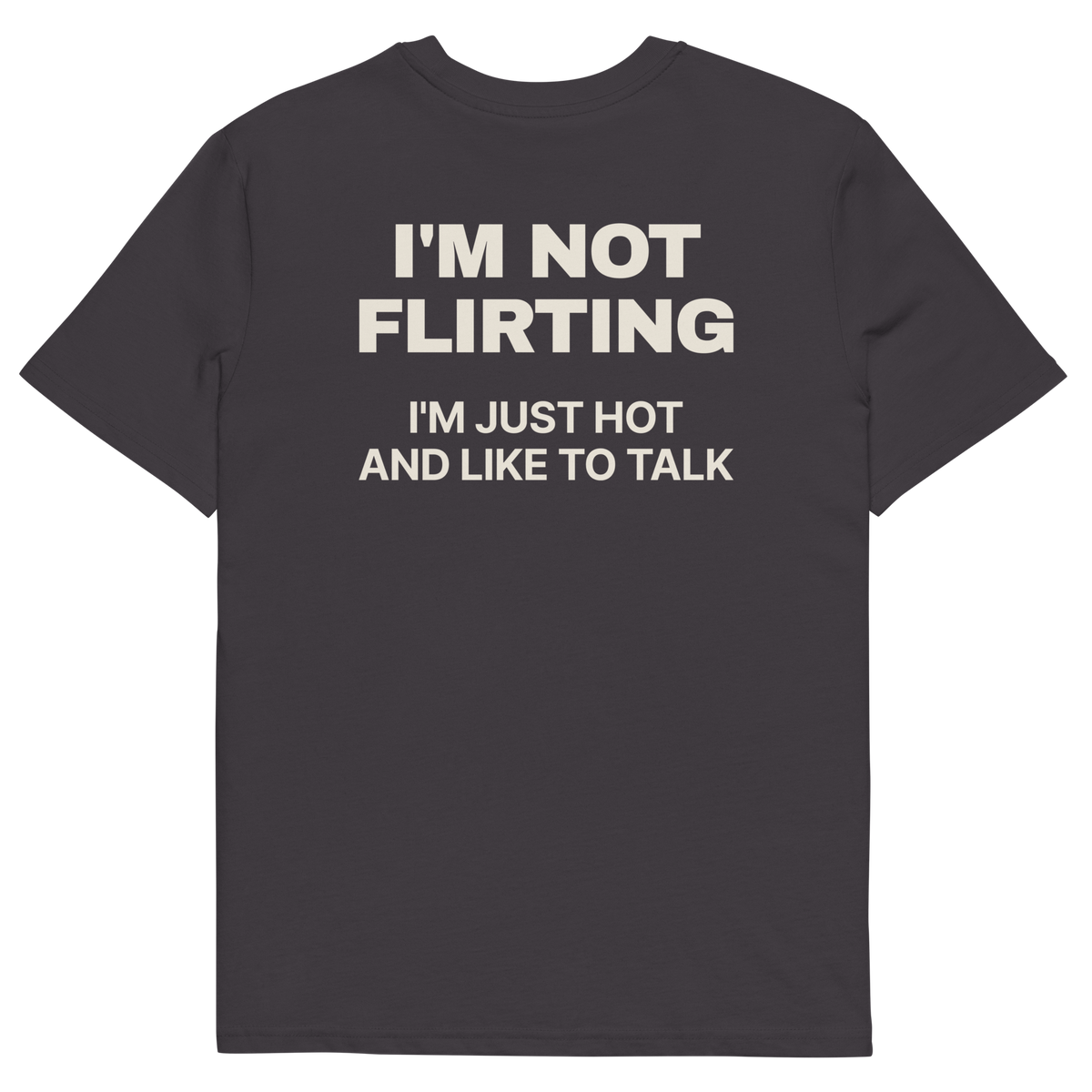 Anthracite product view of the I’m Not Flirting. I’m Just Hot and Like to Talk T-shirt, back