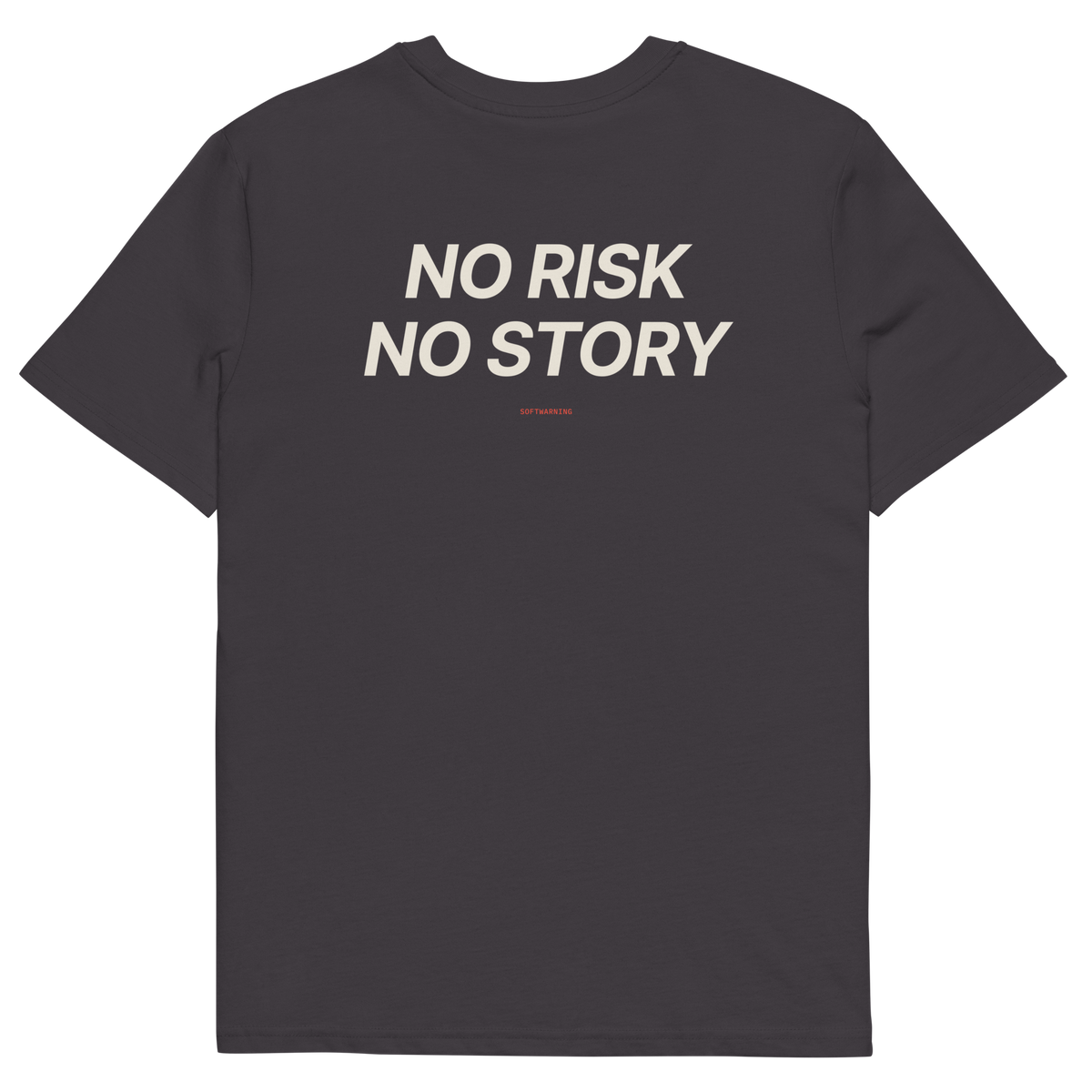 Anthracite product view of the No Risk No Story T-shirt, back