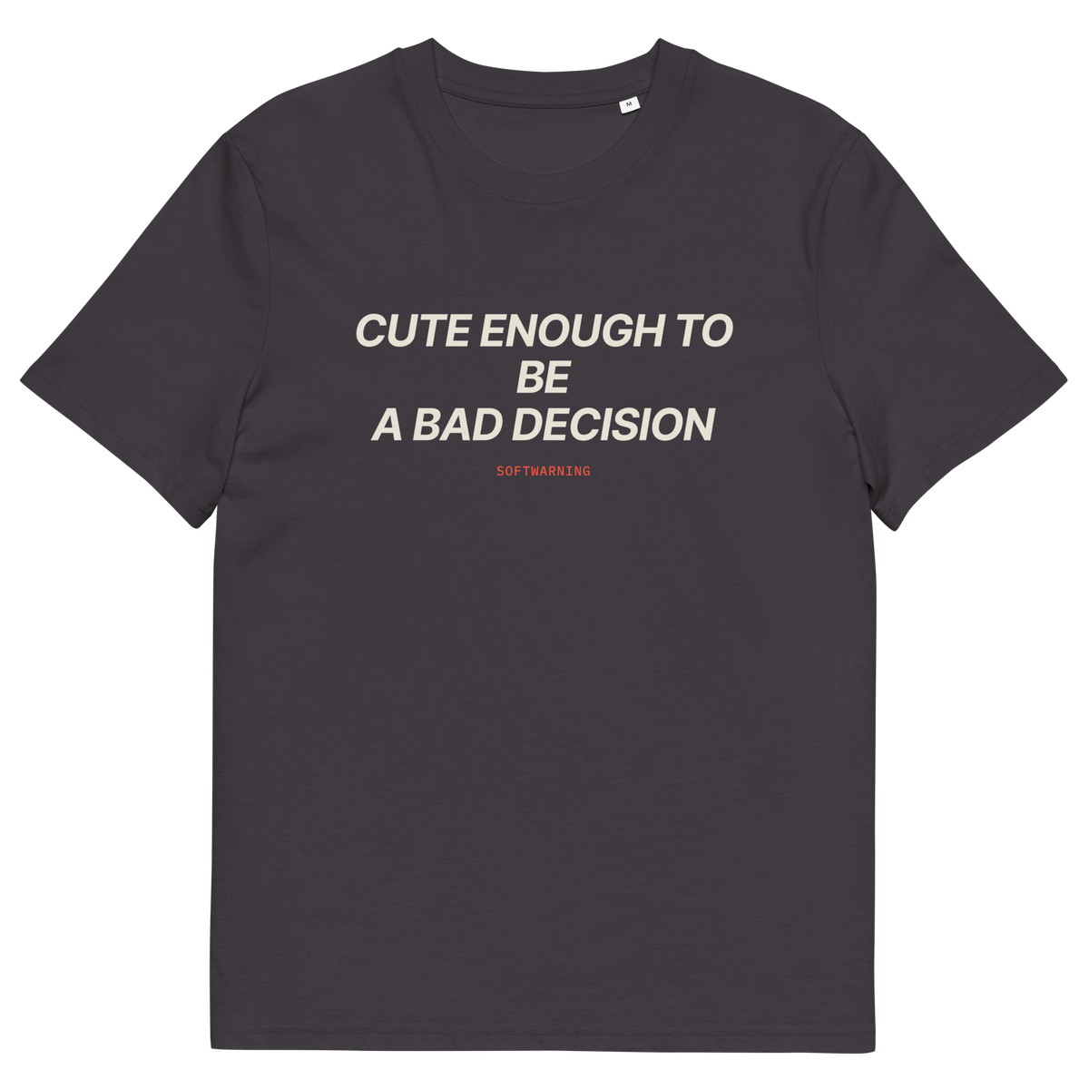 Anthracite product view of the Cute Enough to Be a Bad Decision T-shirt, front