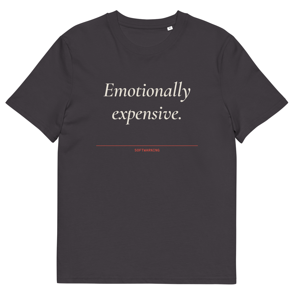 Anthracite product view of the Emotionally Expensive T-shirt, front