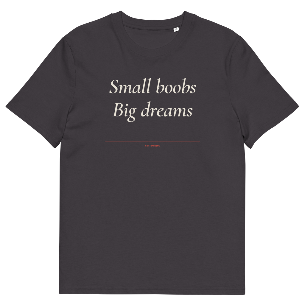 Anthracite product view of the Small Boobs Big Dreams T-shirt, front