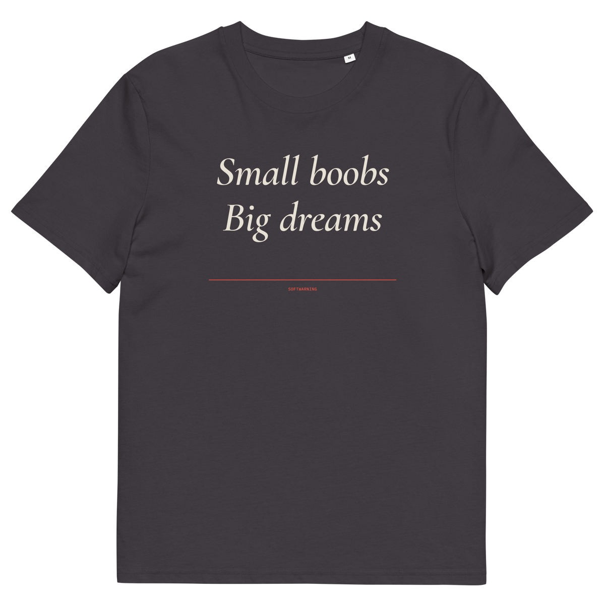 Anthracite product view of the Small Boobs Big Dreams T-shirt, front