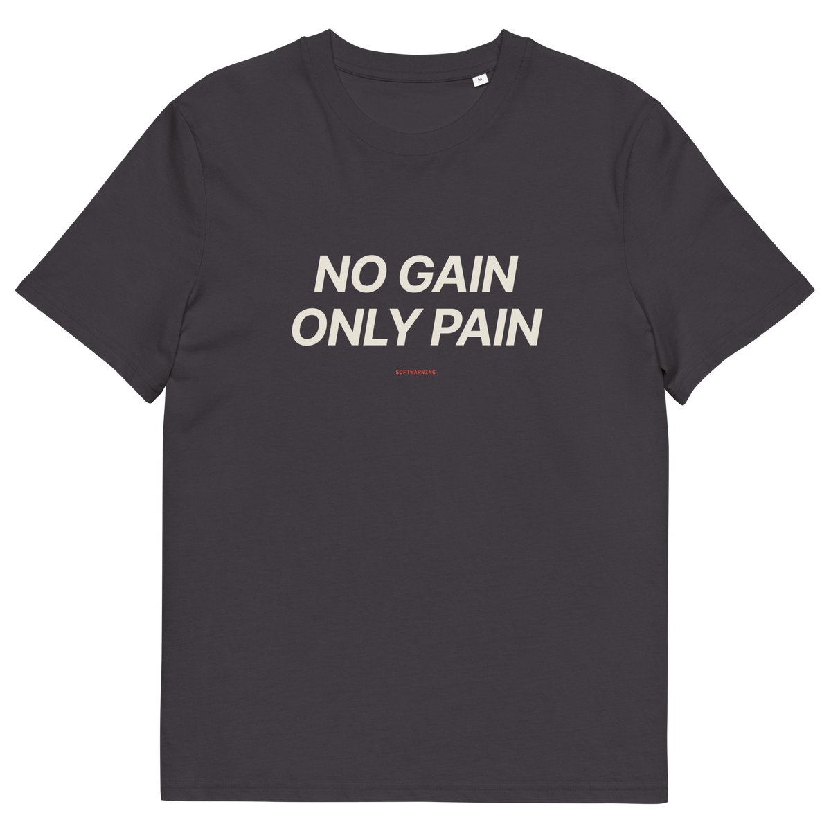Anthracite product view of the No Gain Only Pain T-shirt, front