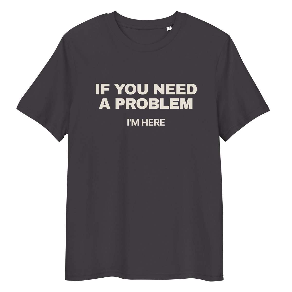 Close-up of the If You Need a Problem, I’m Here T-shirt print in anthracite, front view