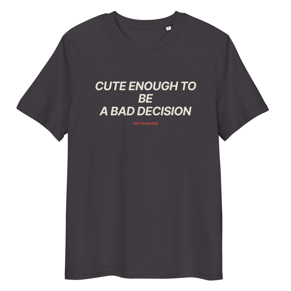 Close-up of the Cute Enough to Be a Bad Decision T-shirt print in anthracite, front view