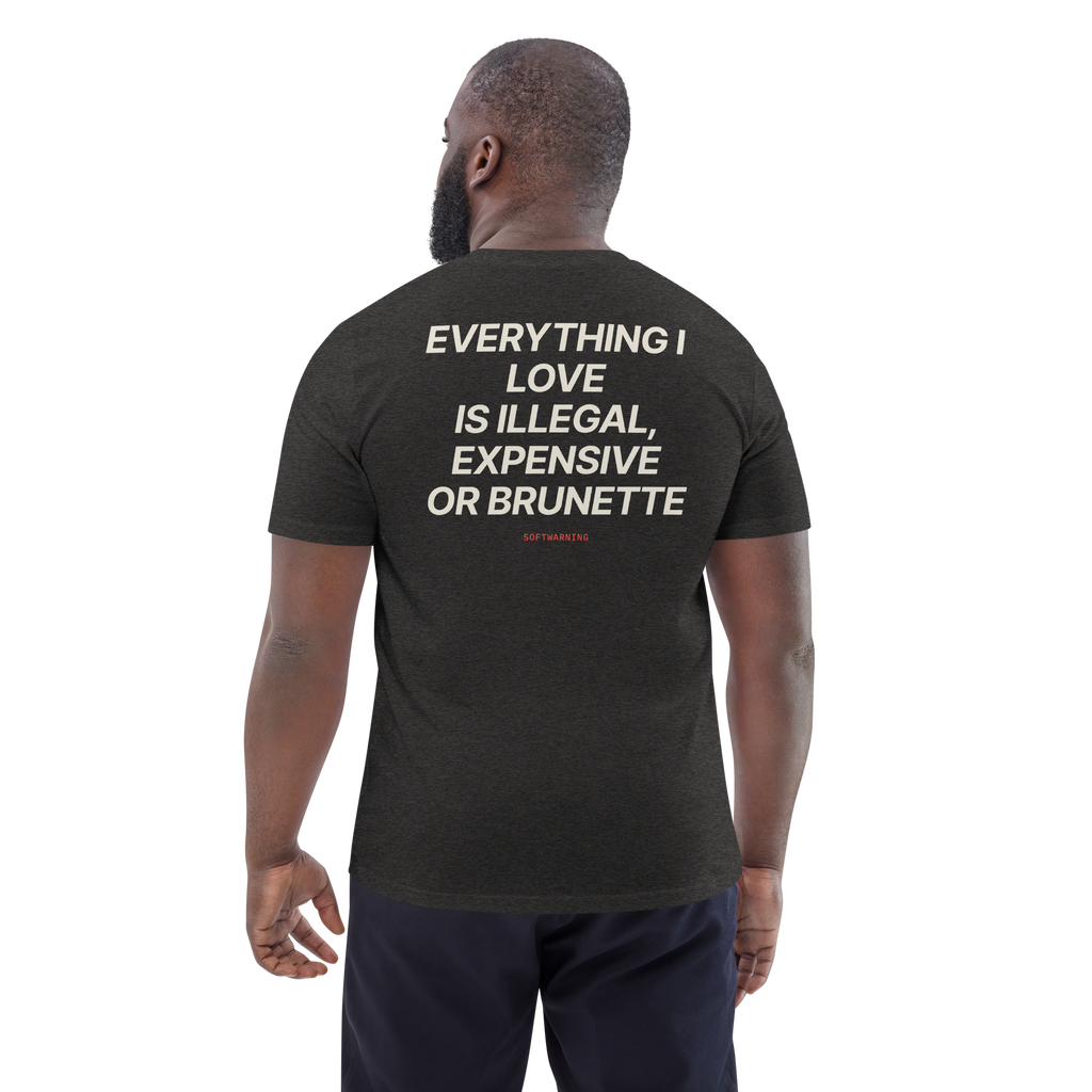 Man wearing the Everything I Love Is Illegal, Expensive, or Brunette T-shirt in dark heather grey, back view