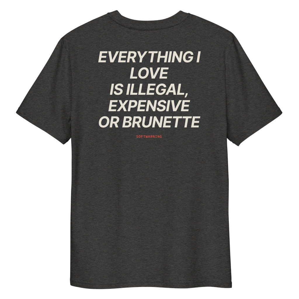 Close-up of the Everything I Love Is Illegal, Expensive, or Brunette T-shirt print in dark heather grey, back view