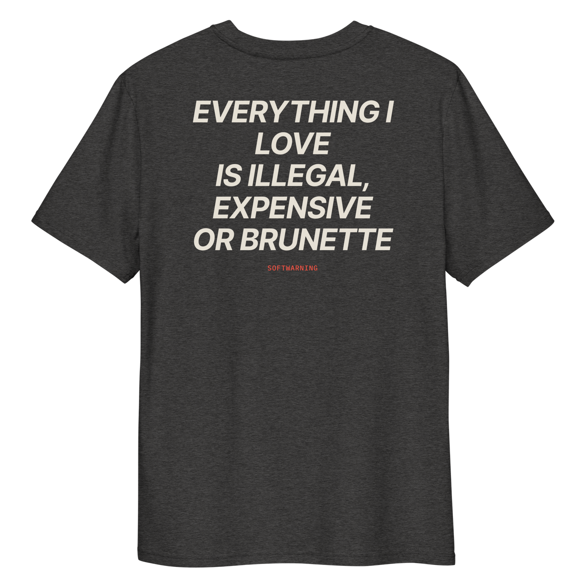 Close-up of the Everything I Love Is Illegal, Expensive, or Brunette T-shirt print in dark heather grey, back view